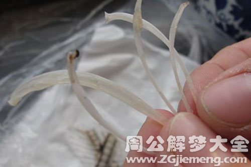 梦见被鱼刺卡住 梦见被鱼刺卡住