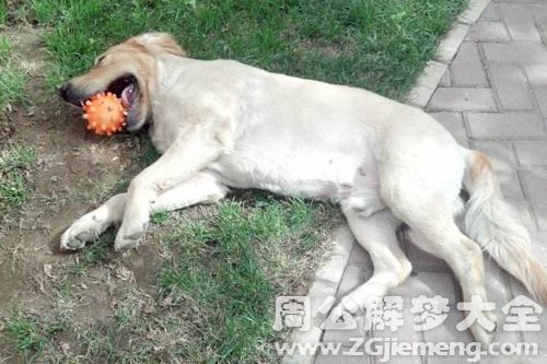 梦见扔球很准 梦见扔球很准