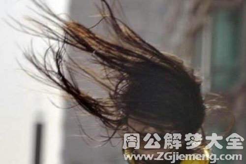 自己被大风吹 自己被大风吹