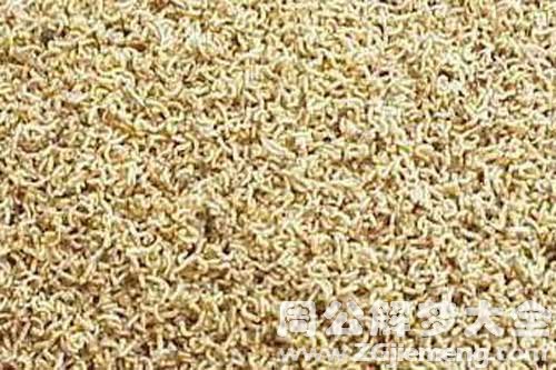 梦见身上好多蛆 梦见身上好多蛆