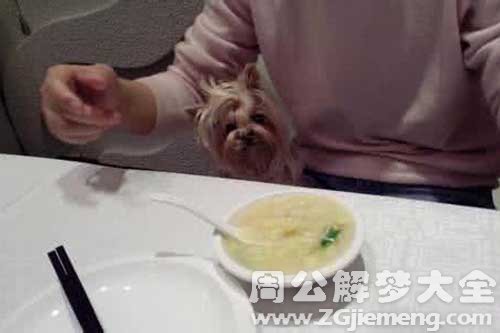 梦见上饭店吃饭 梦见上饭店吃饭