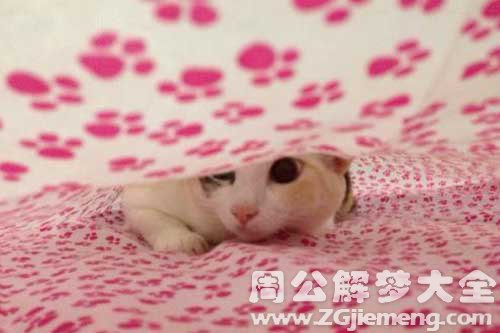 梦见躲躲藏藏 梦见躲躲藏藏