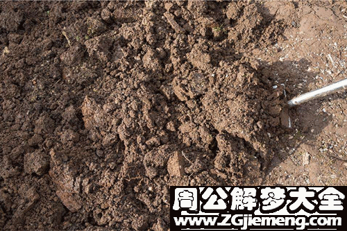 梦见一堆土 梦见一堆土