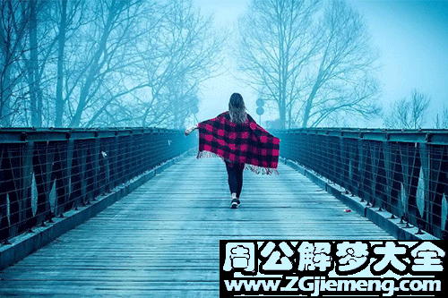 梦见桥上走
