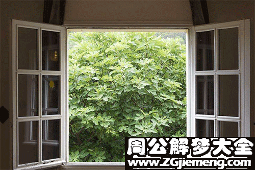 梦见窗户打开