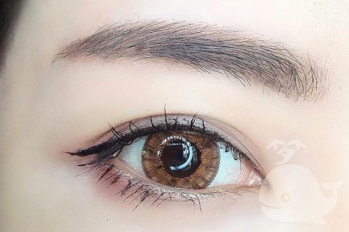 眉毛长长 眉毛长长