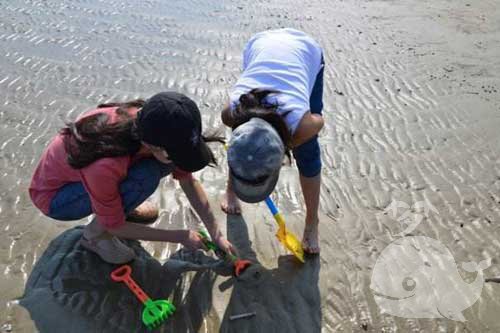 梦见在河里抓螃蟹 梦见在河里抓螃蟹