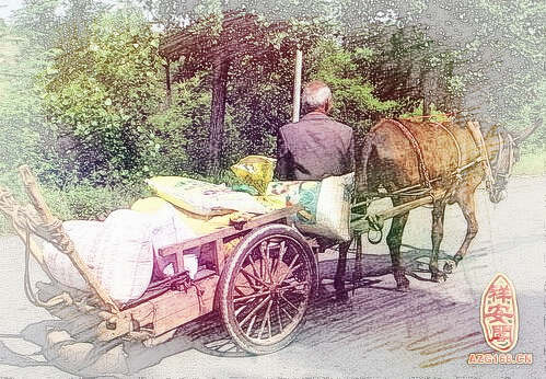 梦见骡子拉车