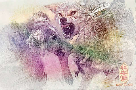 梦见和狼打架