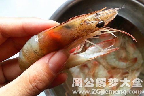 梦见抓虾、捕虾、捉虾