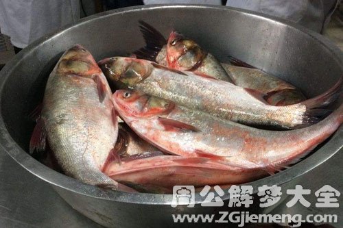 梦见杀鱼