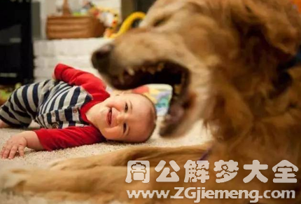 梦见狗咬到自己的孩子.png