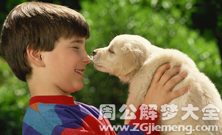 梦见孩子被狗咬.png