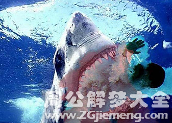 梦见鱼咬别人.png 梦见鱼咬别人.png