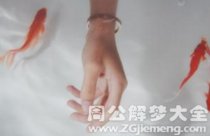 梦见鱼咬我手背.png