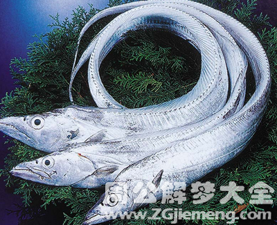 梦见很多带鱼.png 梦见很多带鱼.png