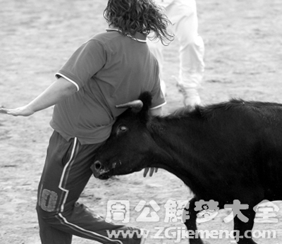 梦见牛顶我.png 梦见牛顶我.png