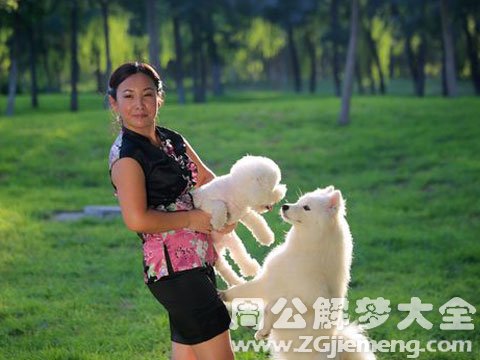 梦见女人抱狗.jpg 梦见女人抱狗.jpg