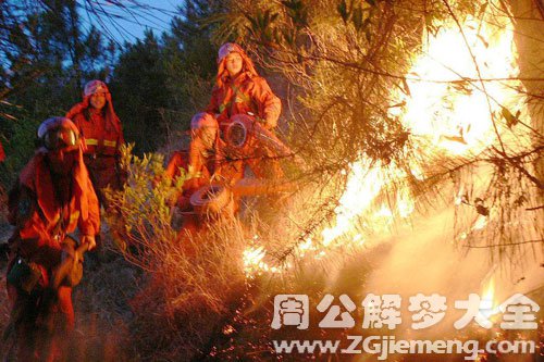 梦见火葬尸体 梦见火葬尸体