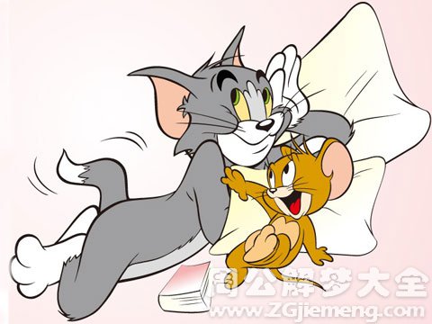 梦见老鼠和猫一起玩.jpg