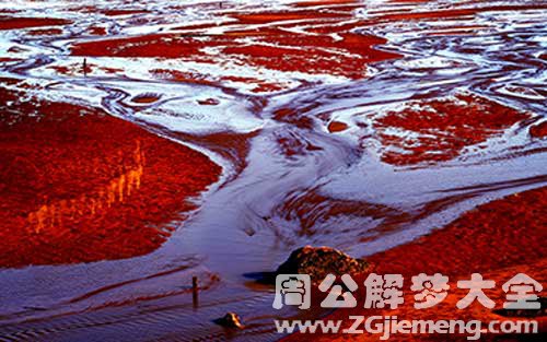 梦见血水.jpg 梦见血水.jpg